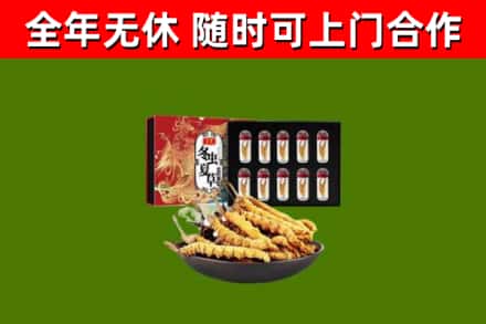 珠海回收冬虫夏草价格