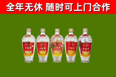 珠海烟酒回收公斤五粮液.jpg